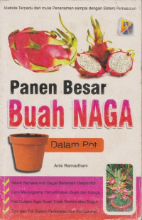 Image of Panen Besar Buah Naga